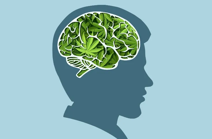 cannabis and memory - Cannabis and Memory