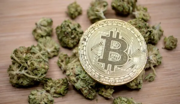 Cryptocurrency And Weed Industry