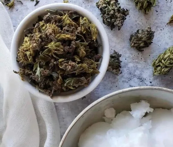 Huile de noix de coco au cannabis vs beurre de cannabis dans les produits comestibles : quelle est la différence ?