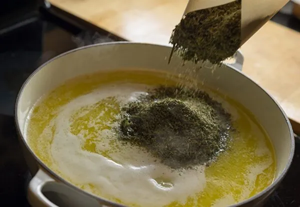 Comment faire votre propre beurre de cannabis maison GasDank