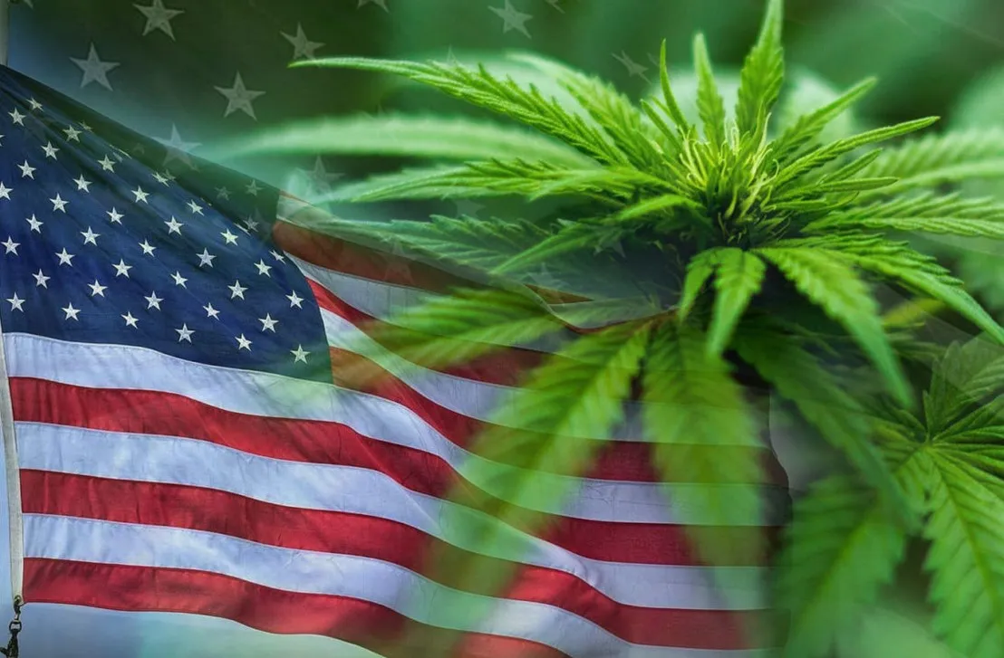 legalisation in usa 17 - Cannabis Legalisation in USA