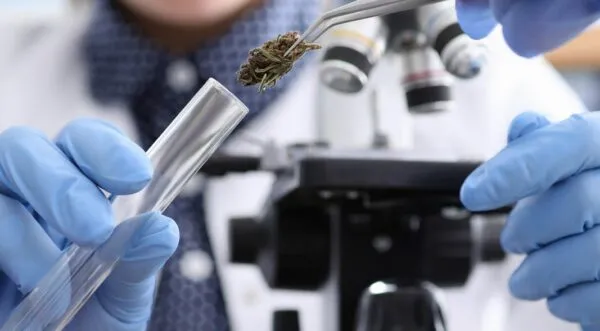 Transparent Cannabis: Cannabis Potency Testing