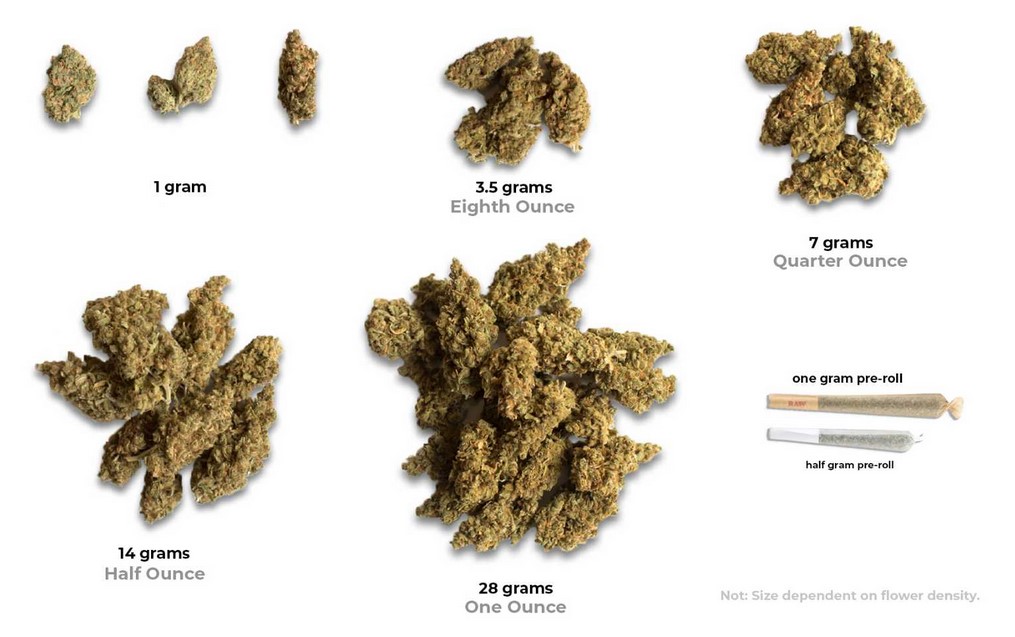 Gram, Eighth, Quarter, Ounce: Understanding Weed Weights