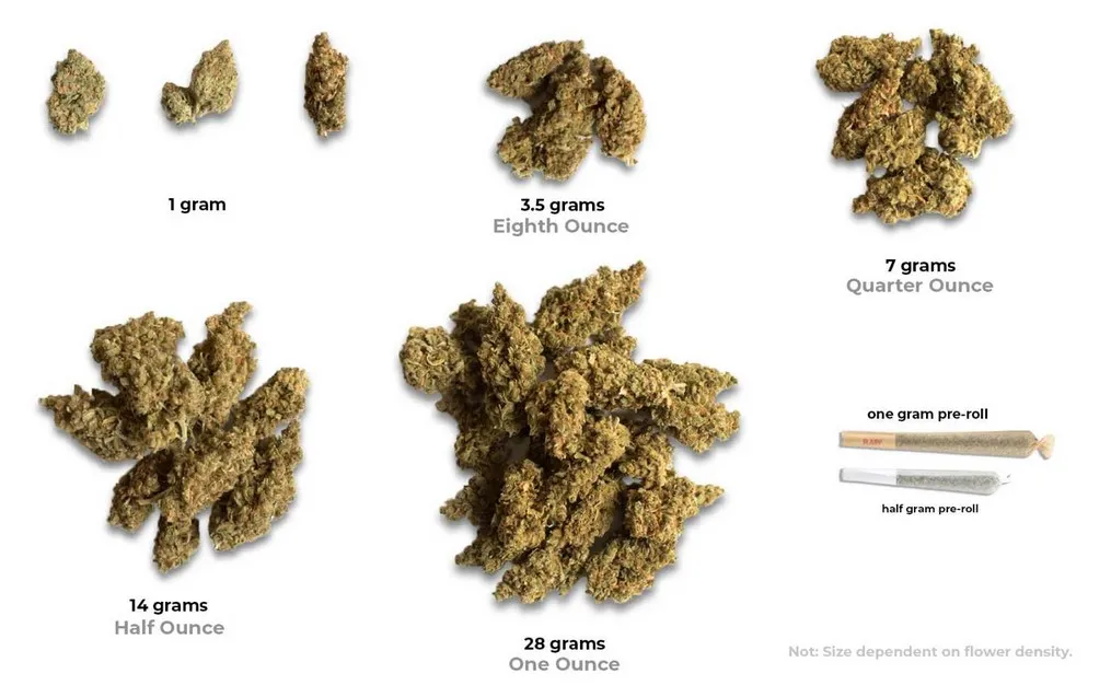 Gramme, huitième, quart, once : comprendre le poids des mauvaises herbes