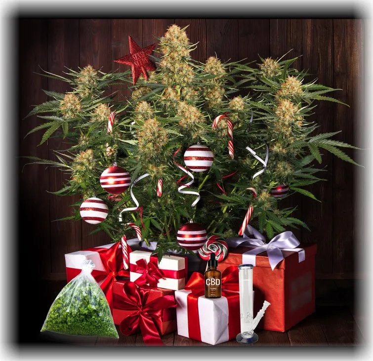 Cannabis Holiday Gifts For Weed Fans