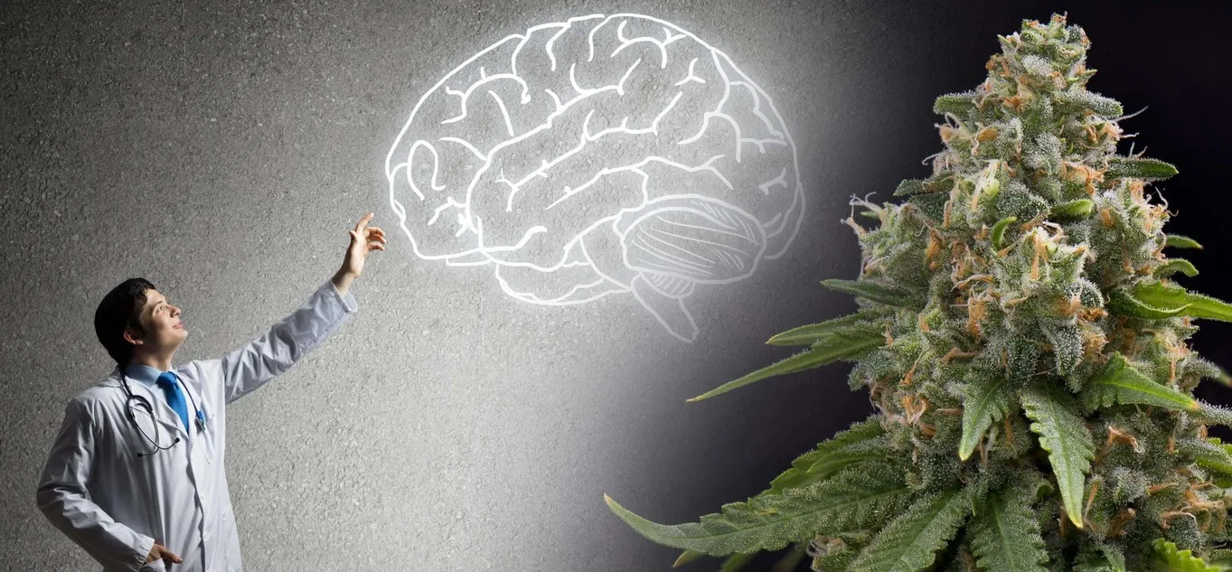 Cannabis: Does it open your mind?