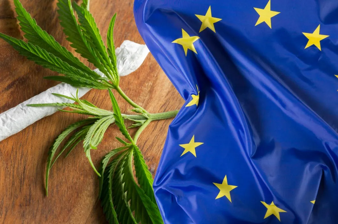 cannabis en europe 2 - Cannabis en Europe