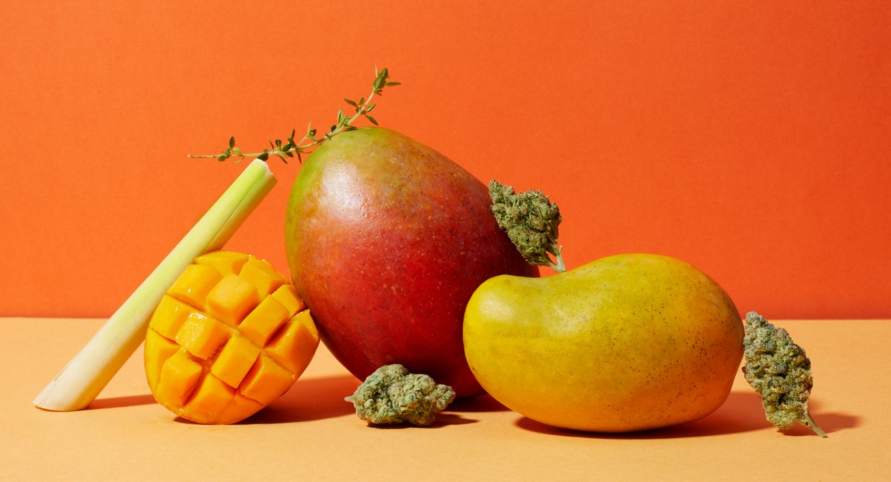 Does Eating Mango Get You Higher?
