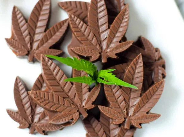 chocolats au cannabis