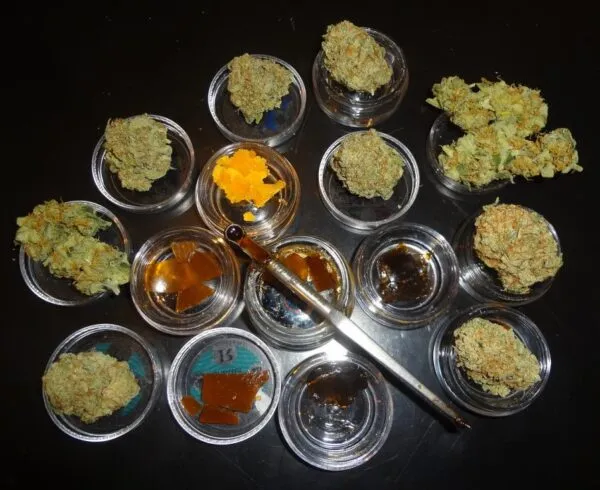 concentrates