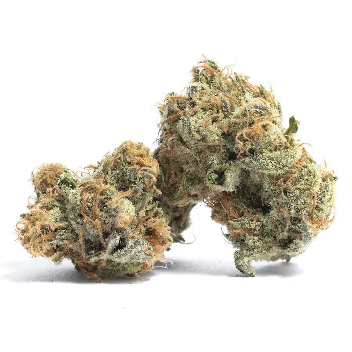 Purple Peyote Indica