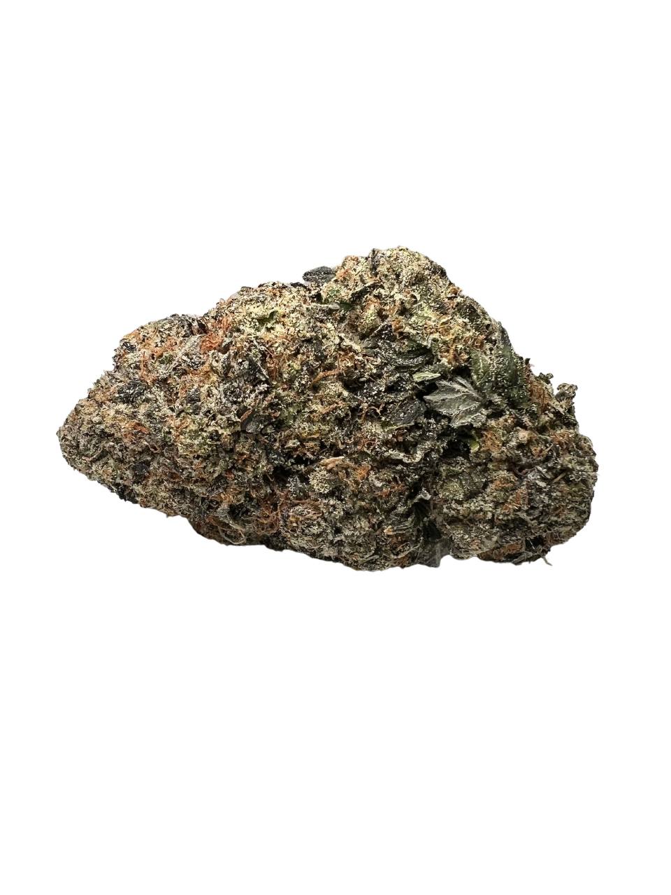 Super Nova Indica