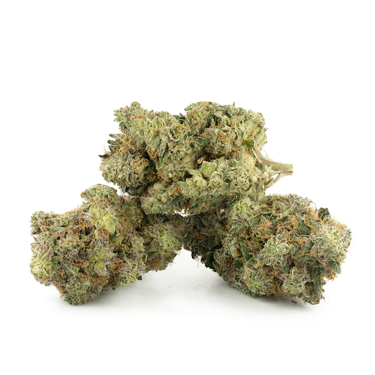 Astro Pink Kush by Pluto Craft Cannabis Strain Multi Shot