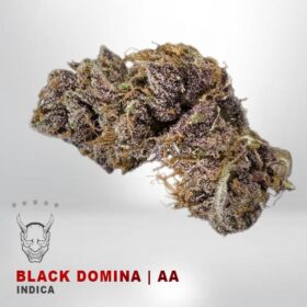BLACK DOMINAKAMIKAZI 143 WEED DELIVERY TORONTO 280x280 - Black Domina – AA – $75/Oz