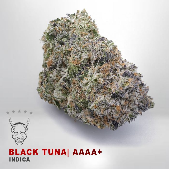 BLACK TUNAAKAMIKAZI 140 WEED DELIVERY TORONTO - Black Tuna - AAAA+
