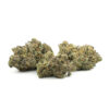 Banana Punch 9 Strain Multi 100x100 - Banana Punch #9