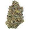 Banana Punch 9 Strain Single 100x100 - Banana Punch #9