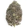 Blue Diesel by Pacific Craft 100x100 - Blue Diesel by Pacific Craft
