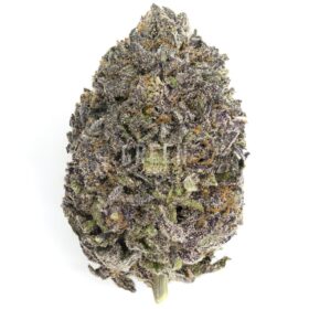 Blue Diesel by Pacific Craft 280x280 - Blue Diesel by Pacific Craft