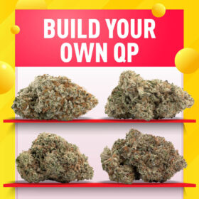 Build your own QP 280x280 - Build Your Own QP