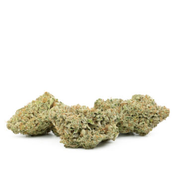 Clementine by Pluto Craft Cannabis Multi 350x350 - Clementine by Pluto Craft Cannabis