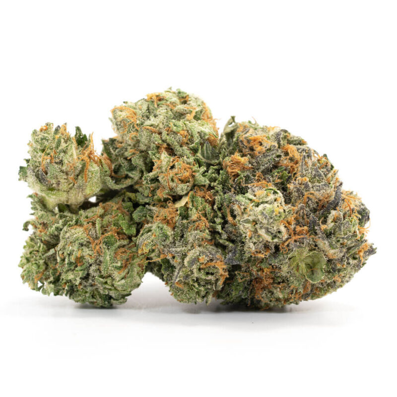 Critical Kush 2.0