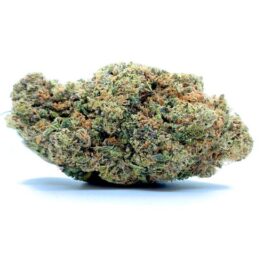 Diablo Pink - AAAAA (LSO)