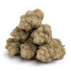 Dutch Treat 11 100x100 - Dutch Treat