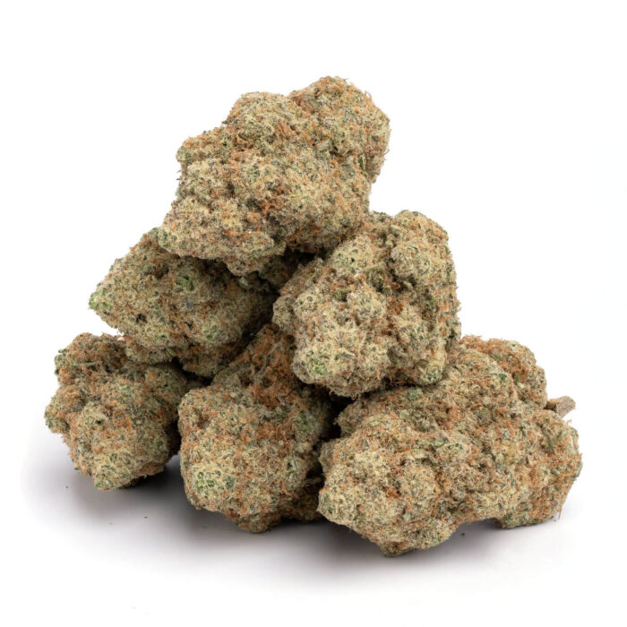 Dutch Treat 11 700x700 - Dutch Treat