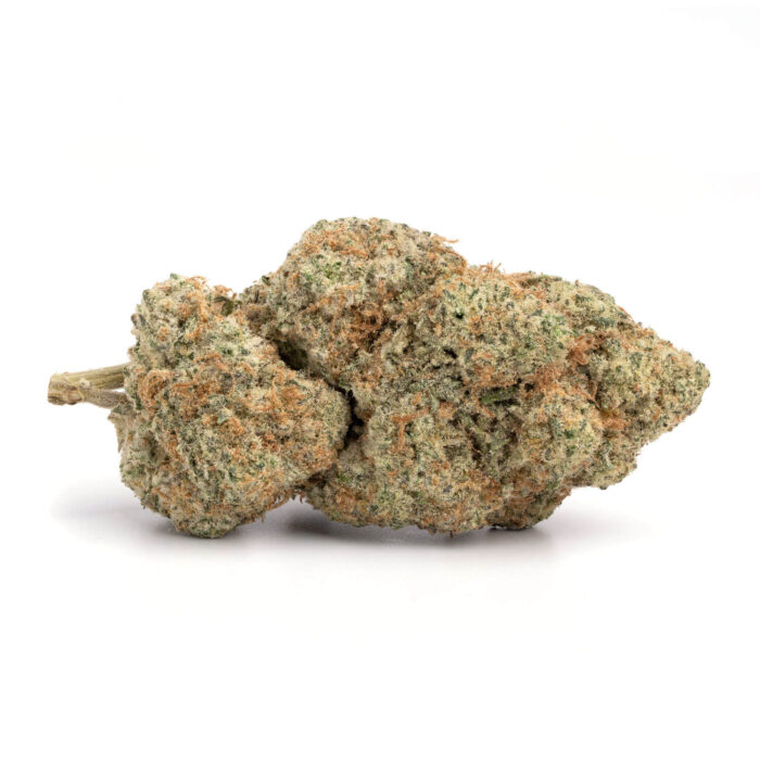 Dutch Treat 2 700x700 - Dutch Treat