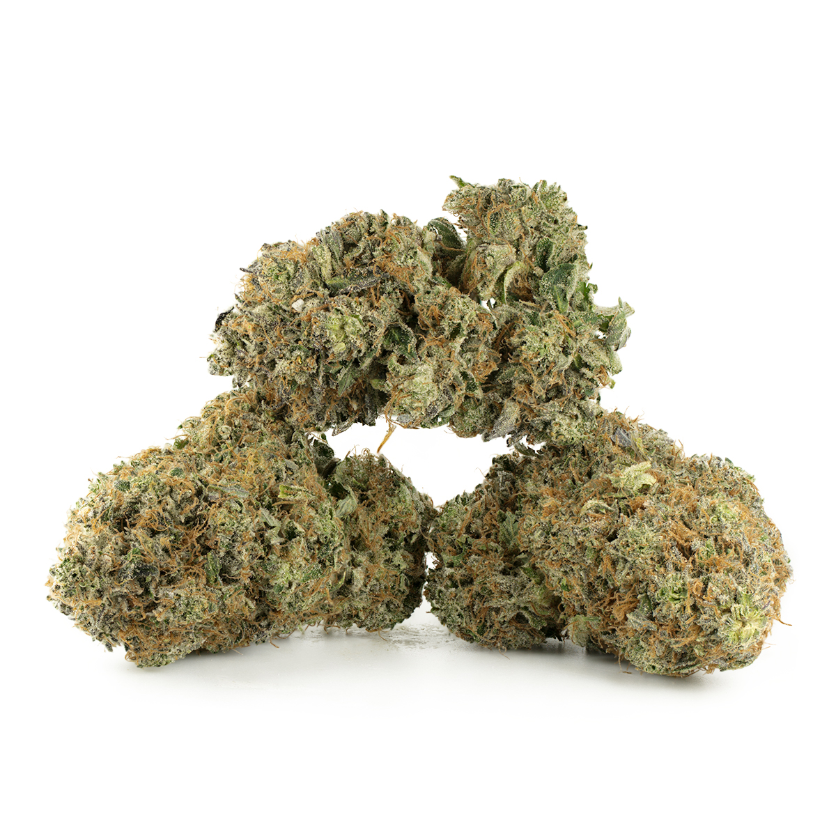 Fatso by Pluto Craft Cannabis Multi Shot