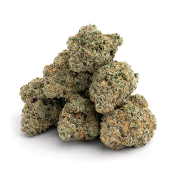 Gelato Cake — Hybrid