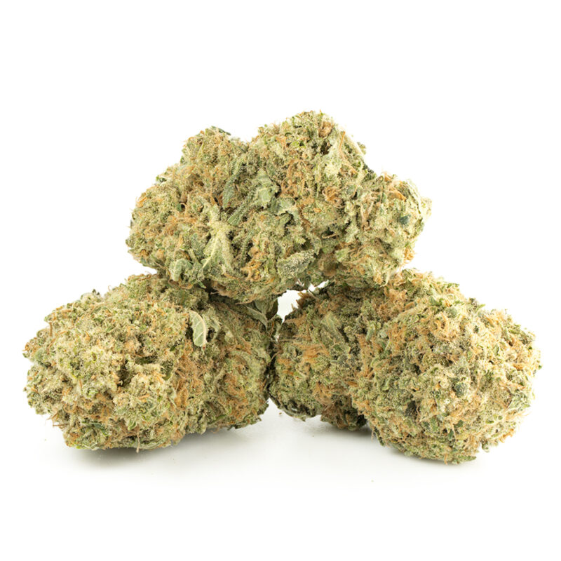 Girl Scout Cookies Multi Shot