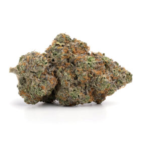 Grand Daddy Purple 2 280x280 - Grand Daddy Purple