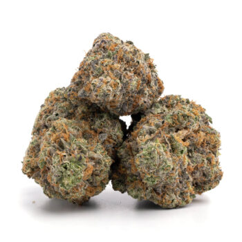 Grand Daddy Purple 7 350x350 - Grand Daddy Purple