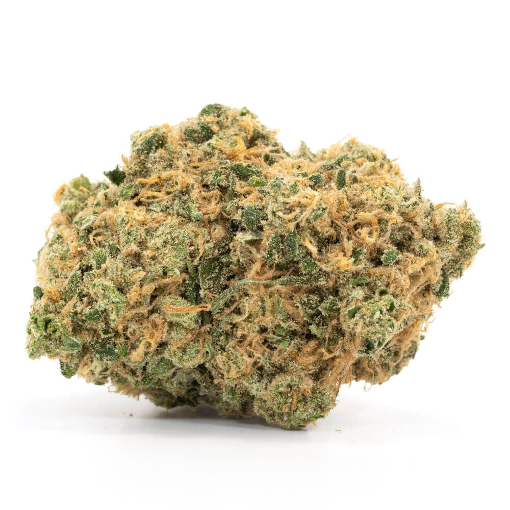 Hashplant