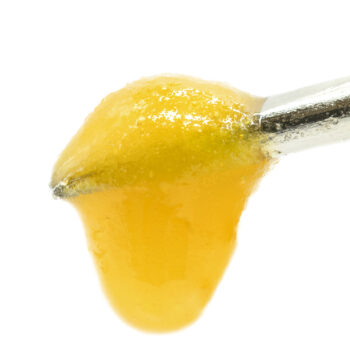 High Voltage Extracts HTFSE Sauce 2 350x350 - High Voltage Extracts HTFSE Sauce