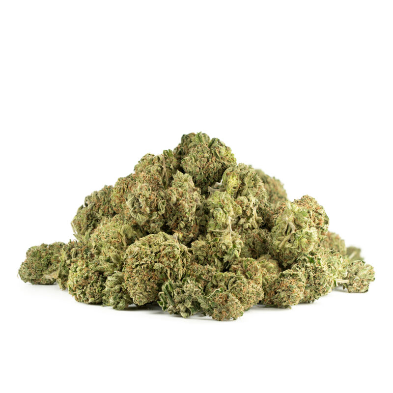 Hindu Kush Multi Shot