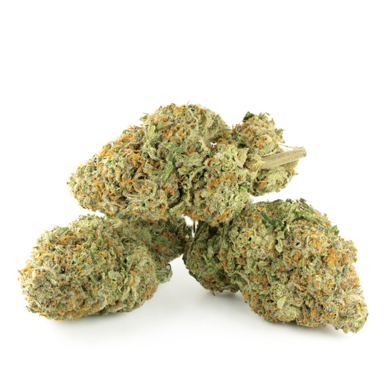 Jack Herer Strain Multi Shot