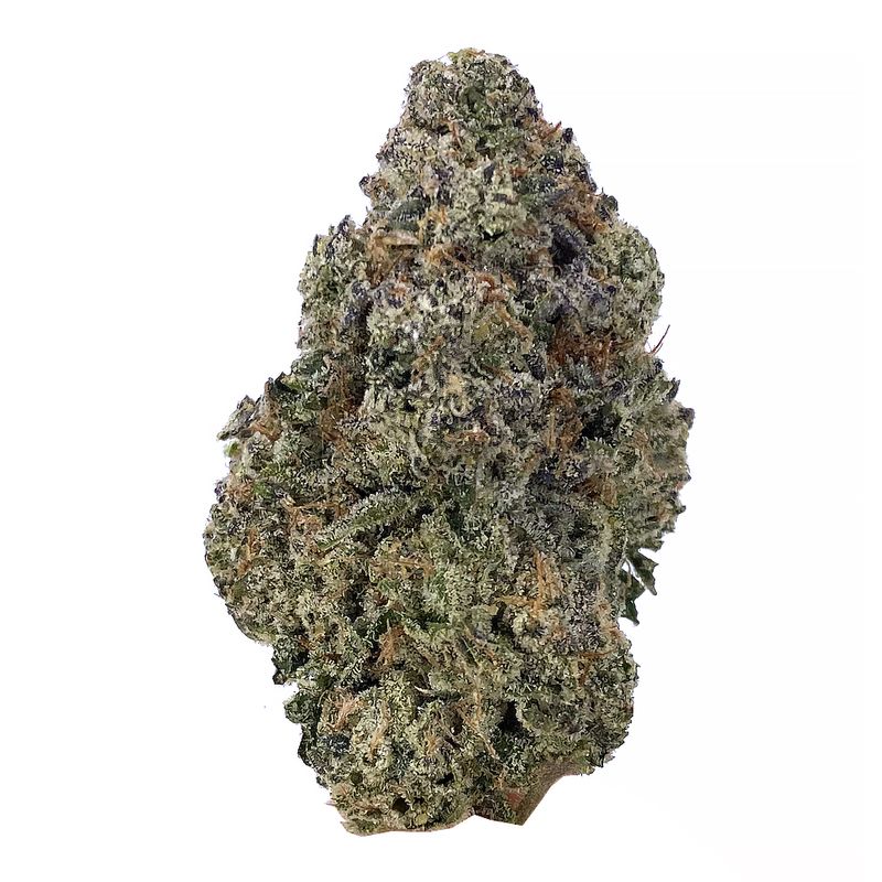 KAMIKAZI ARJIANS HAZE 1.JPG 601