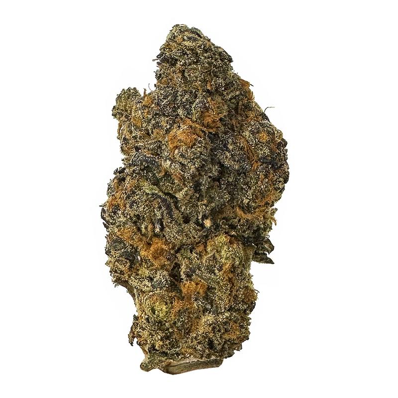 KAMIKAZI BACIO GELATO 1.JPG 451