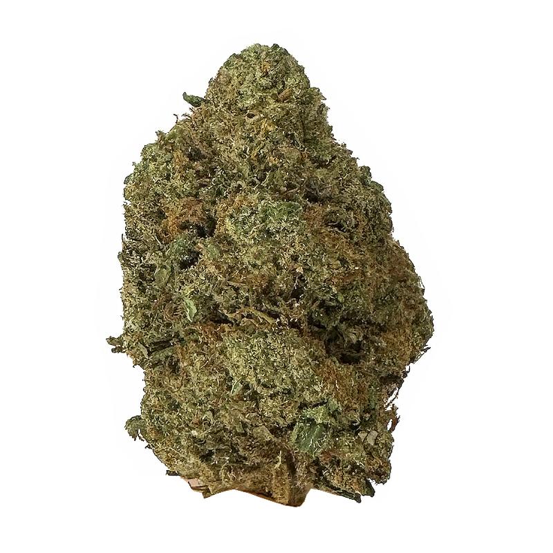 KAMIKAZI BC KUSH 21.JPG 389