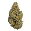 KAMIKAZI GARLIC BREATH 13.JPG 756 2 100x100 - Garlic Breath – AAAA – $190/Oz