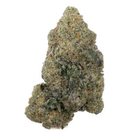 Gelato  - AAA+
