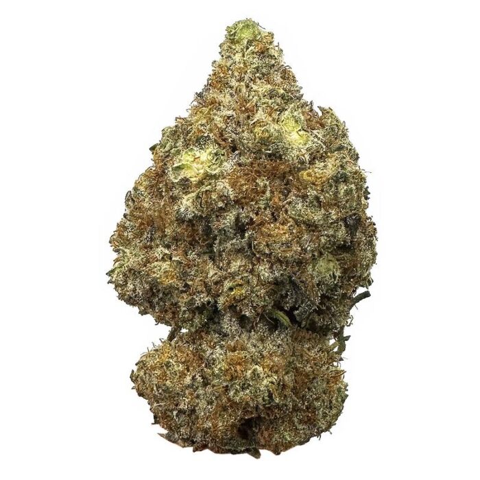 KAMIKAZI GHOST OG 1.JPG 622 2 700x700 - Ghost OG - AAA+ - $150/OG