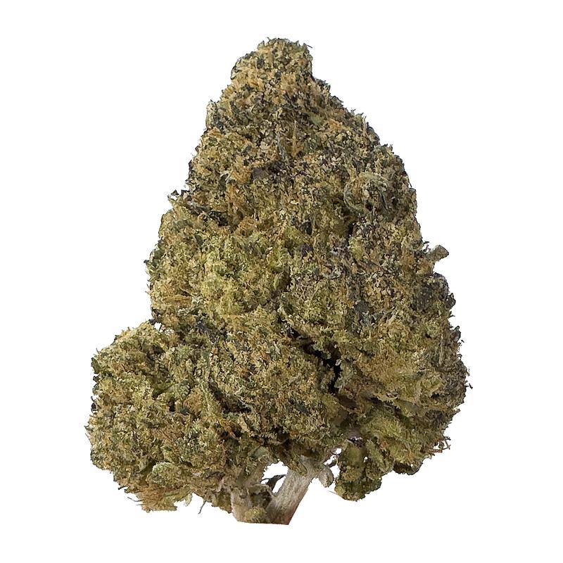 KAMIKAZI GREASY PINK BUBBA 1.JPG 650