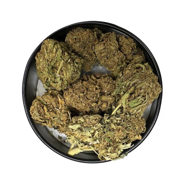 KAMIKAZI LEMON KUSH 12.JPG 4523 2 700x700 - Lemon Kush – AA – $45/Oz