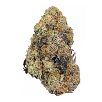 Purple Berry Skunk - AAAA+