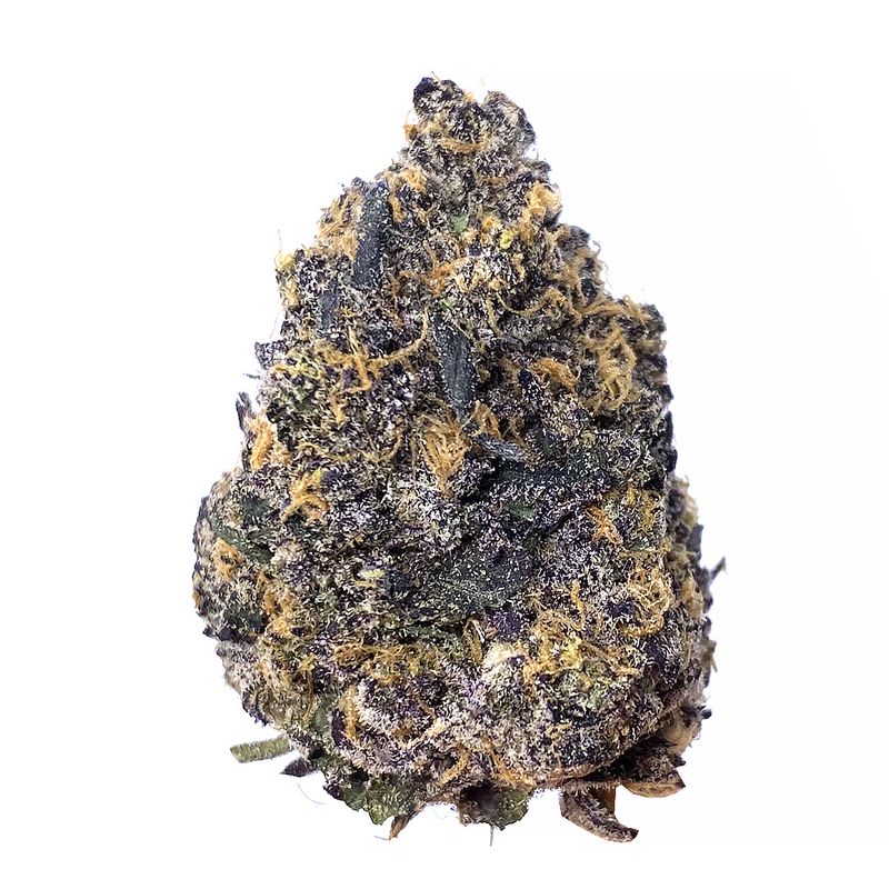 KAMIKAZI PHOENIX OG 2.JPG 676