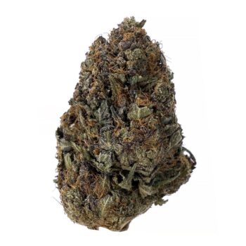 KAMIKAZI PINK KUSH 2.JPG 809 2 350x350 - Pink Kush – AAAA